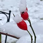 Auf Der Heide - Fuer 6 Personen *