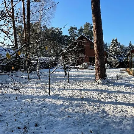 Auf Der Heide - Fuer 6 Personen بيت للعطل