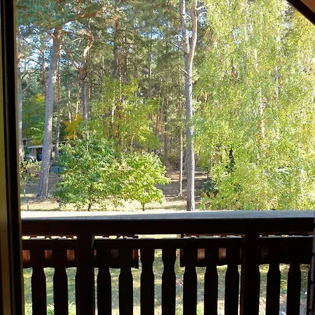 Auf Der Heide - Fuer 6 Personen Borkheide