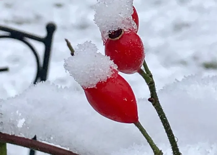 Auf Der Heide - Fuer 6 Personen *